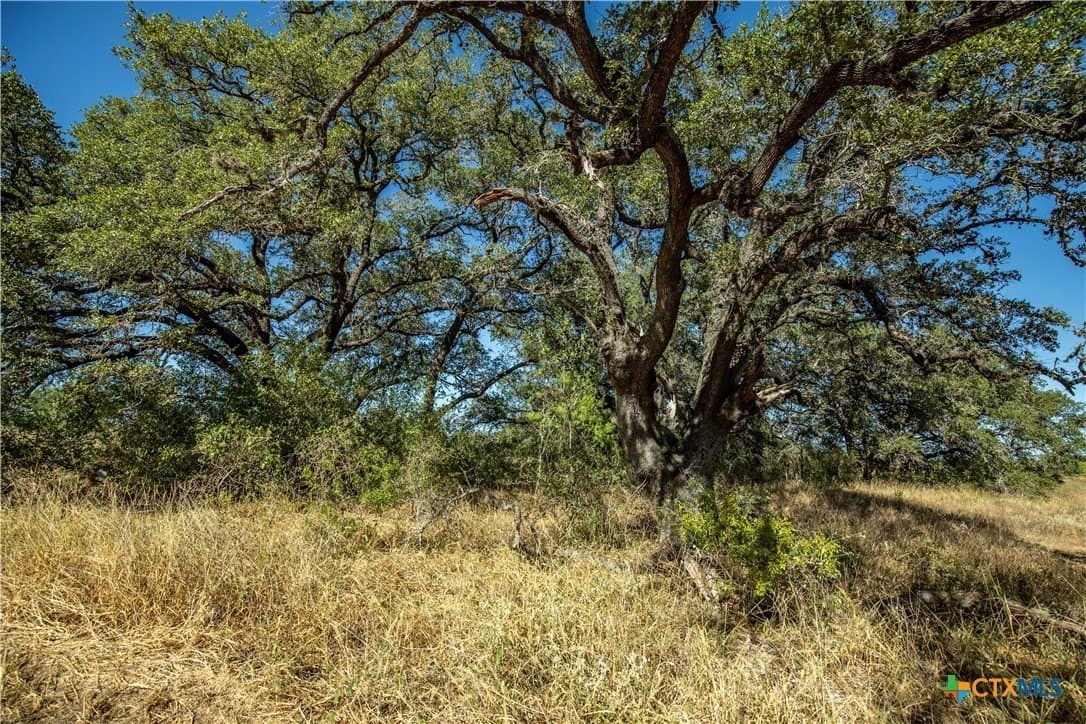 73.68 acres in Bexar County - photo 26