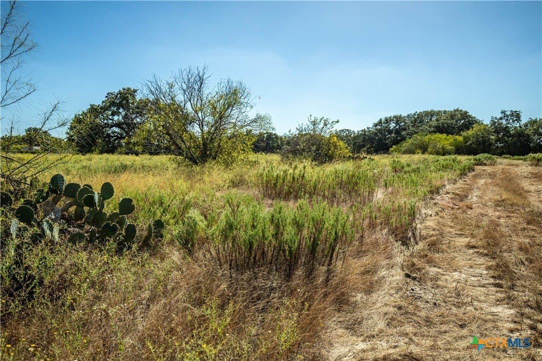 73.68 acres in Bexar County - photo 18