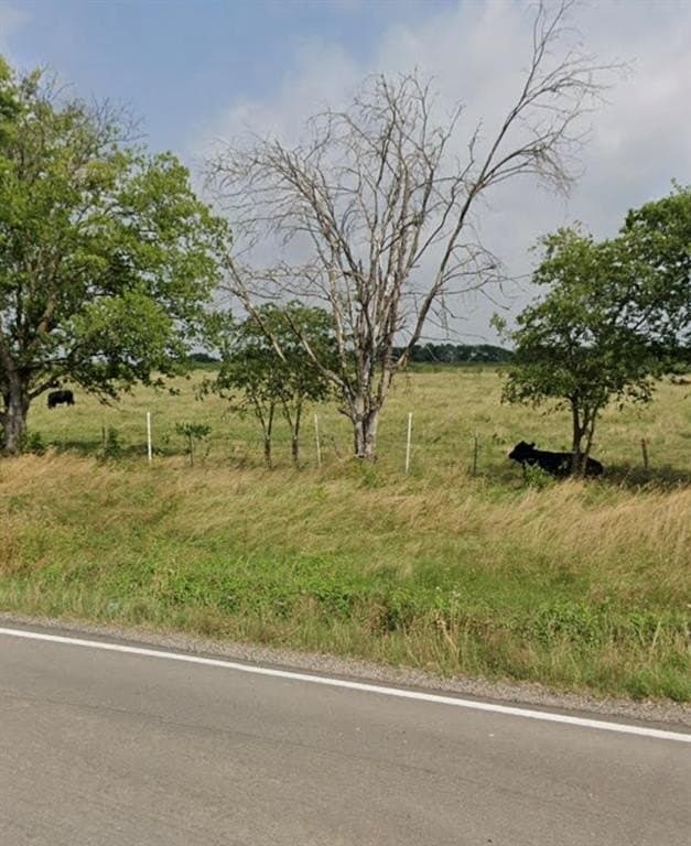 35.7 acres in Limestone County - photo 4