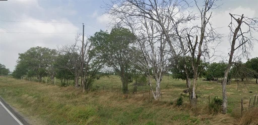 35.7 acres in Limestone County - photo 5