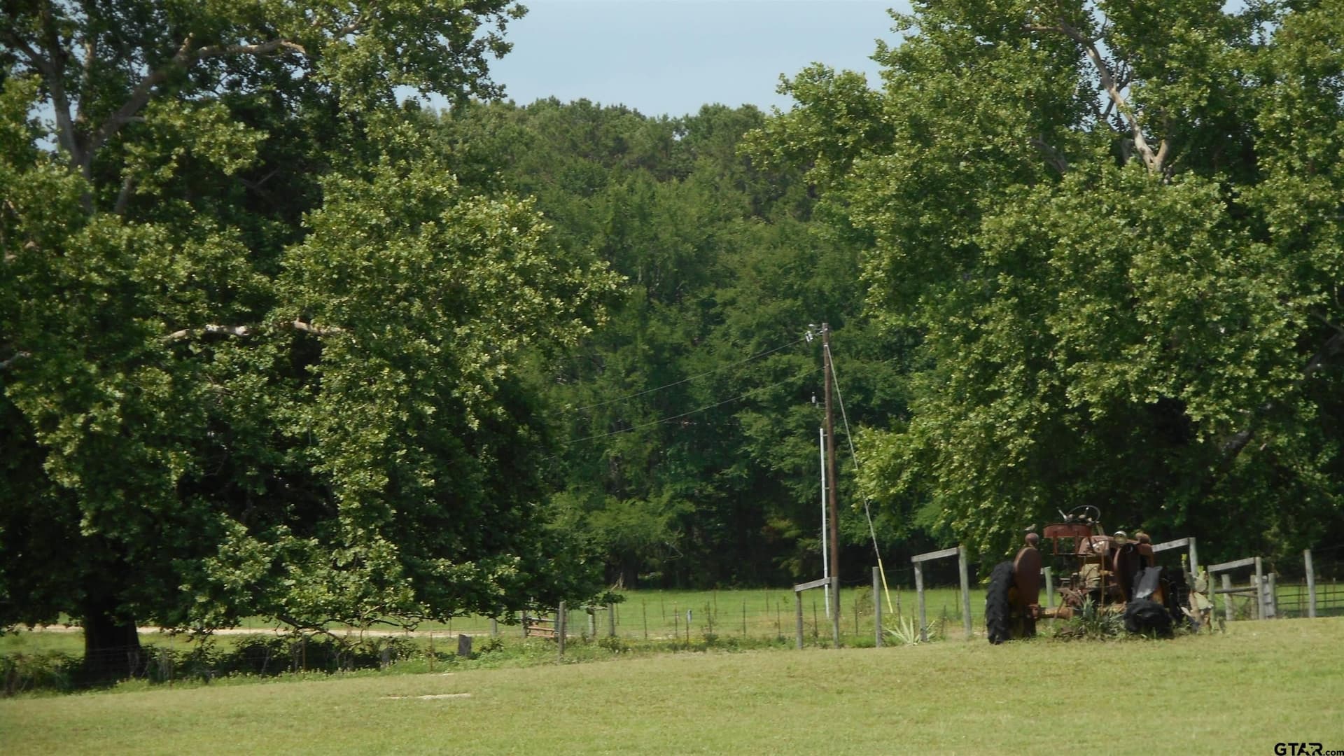 29.94 acres in Wood County - photo 3