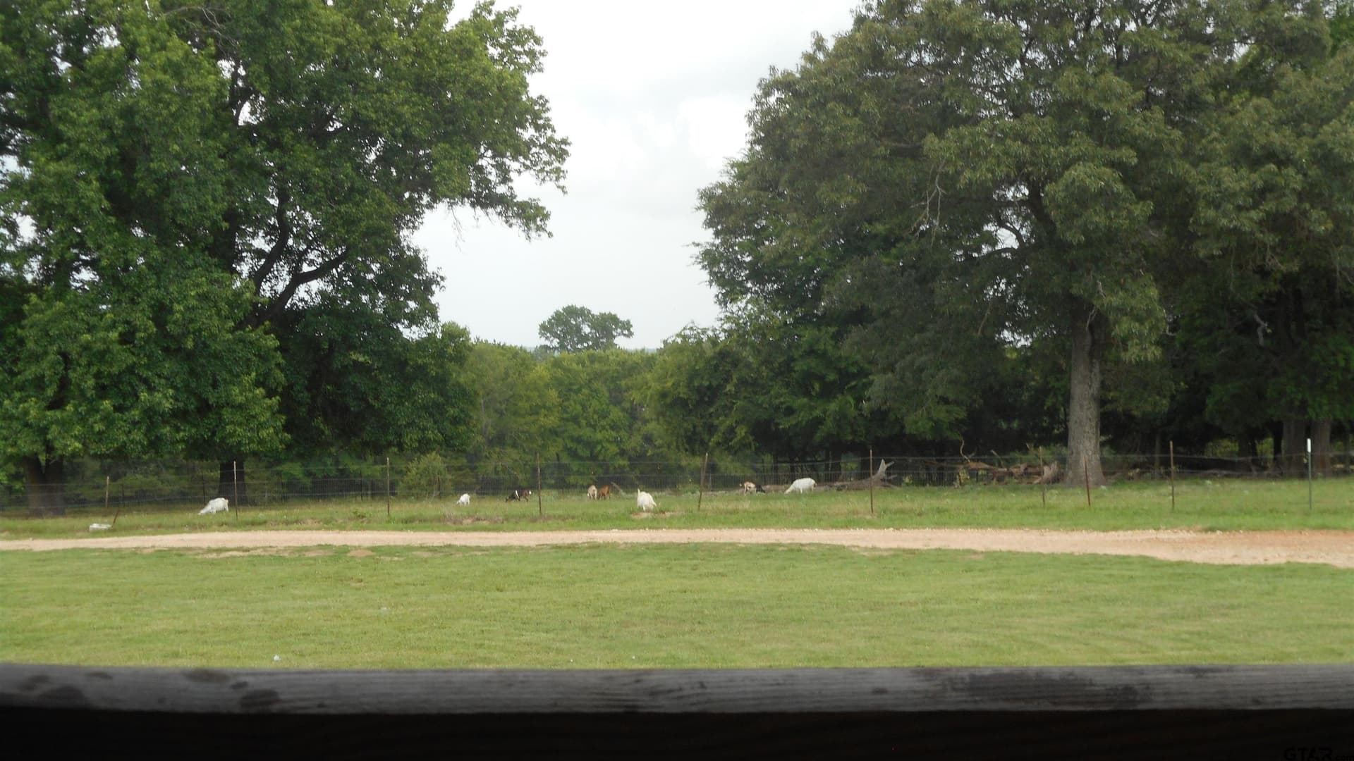 29.94 acres in Wood County - photo 8