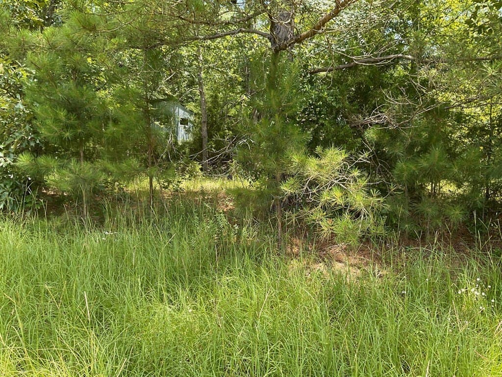 14.38 acres in HENDERSON County - photo 2