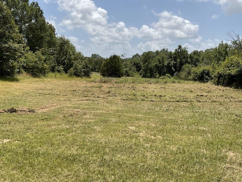 14.38 acres in HENDERSON County - photo 5