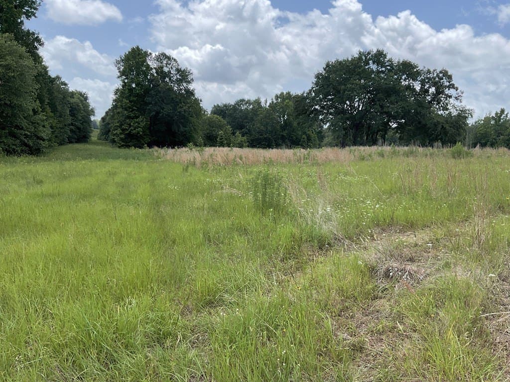14.38 acres in HENDERSON County - photo 4