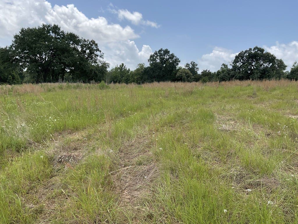 14.38 acres in HENDERSON County - photo 3