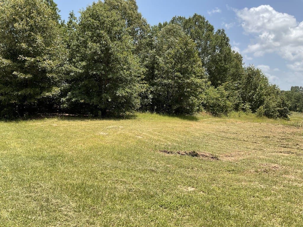 14.38 acres in HENDERSON County - photo 6