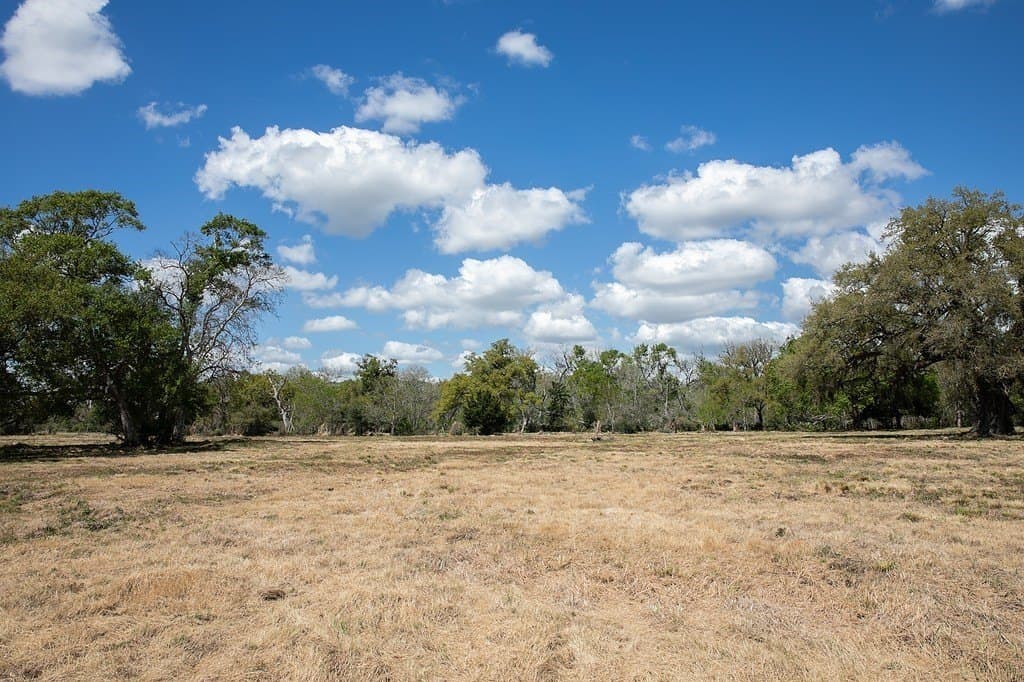14.5 acres in Brazoria County - photo 9