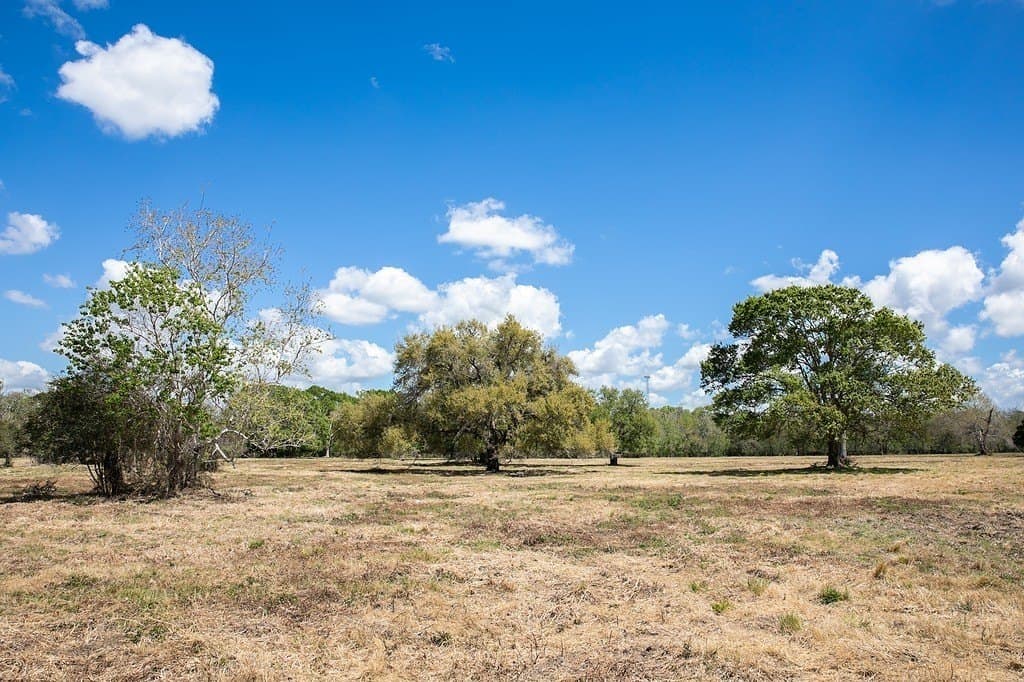 14.5 acres in Brazoria County - photo 3