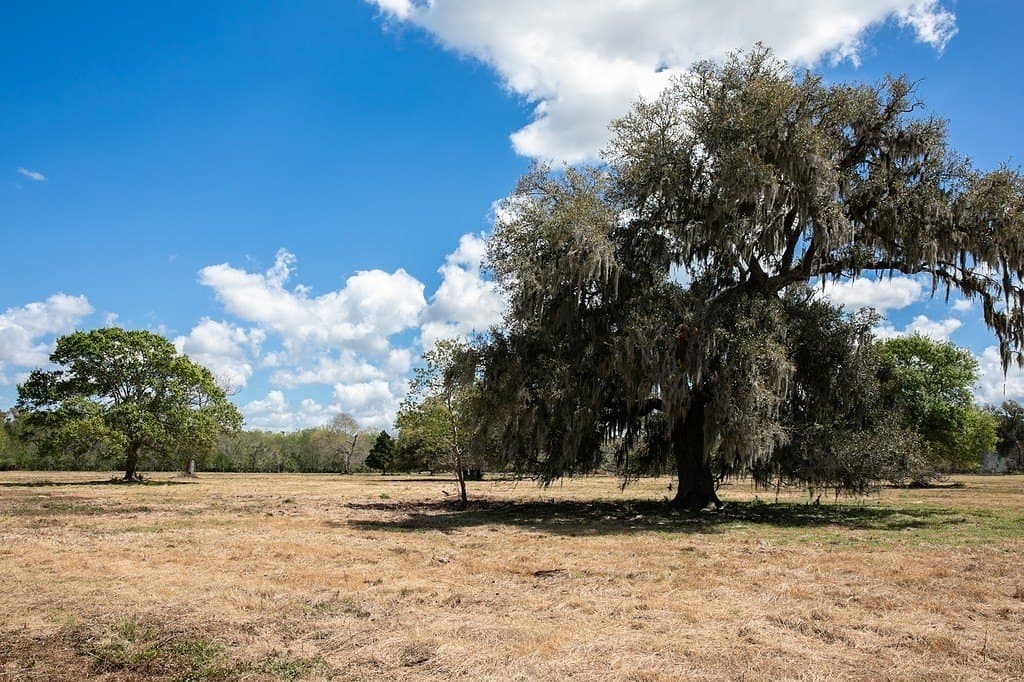 14.5 acres in Brazoria County - photo 2