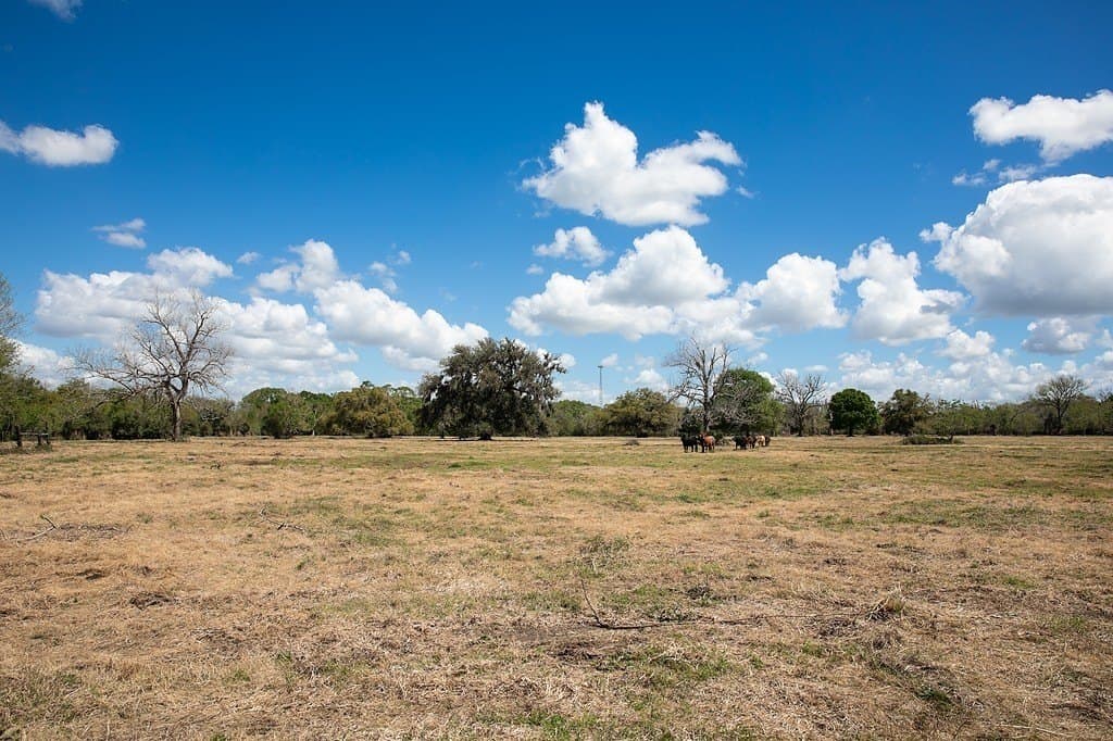 14.5 acres in Brazoria County - photo 11