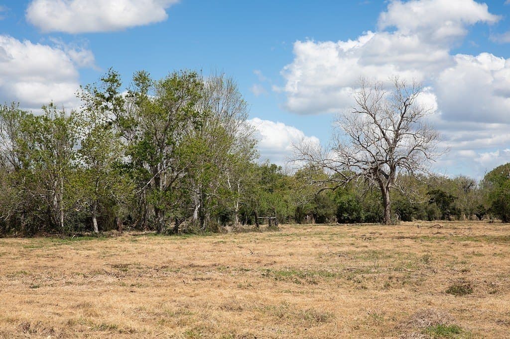 14.5 acres in Brazoria County - photo 12