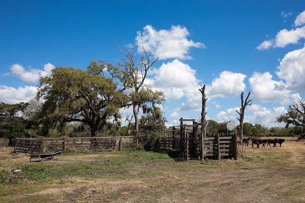 14.5 acres in Brazoria County - photo 7