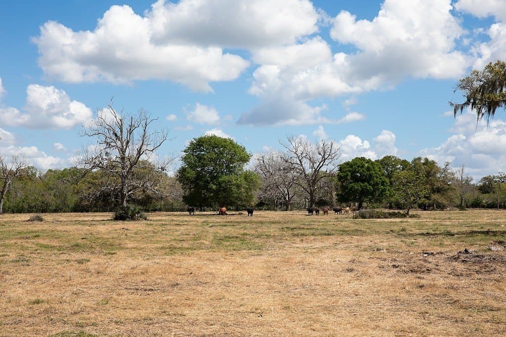 14.5 acres in Brazoria County - photo 5