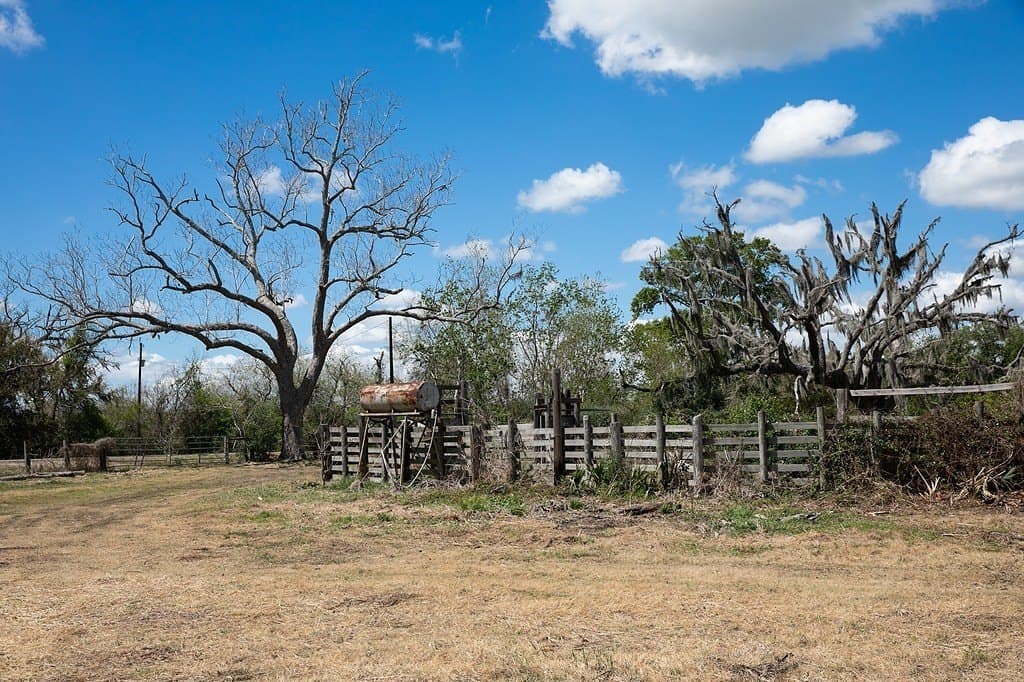 14.5 acres in Brazoria County - photo 6