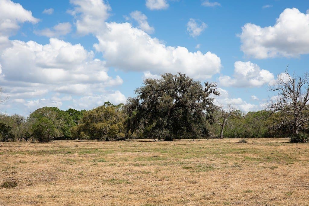 14.5 acres in Brazoria County - photo 13
