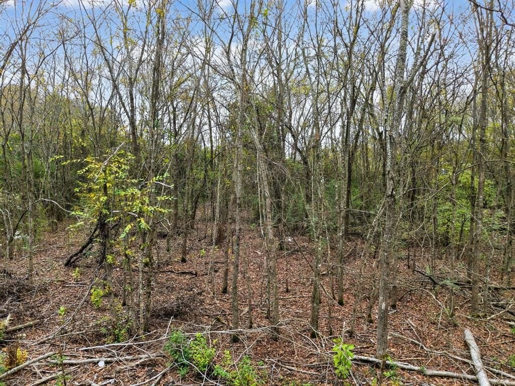 2 acres in Kaufman County - photo 8