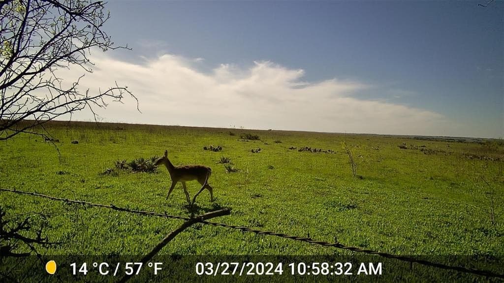 20.07 acres in Hamilton County - photo 5