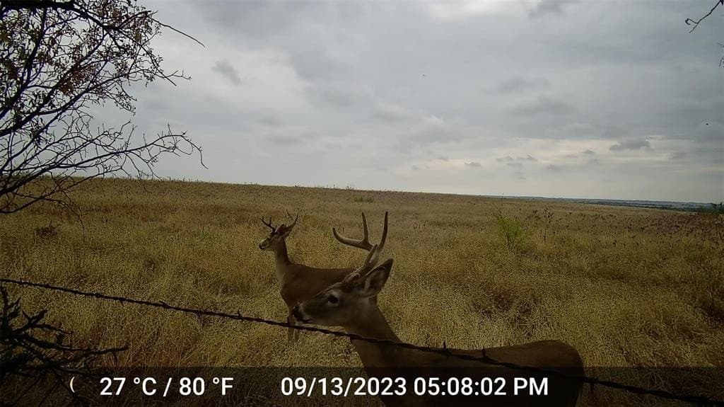 20.07 acres in Hamilton County - photo 3