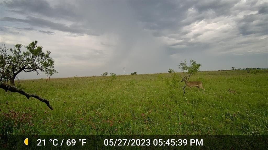 20.07 acres in Hamilton County - photo 7
