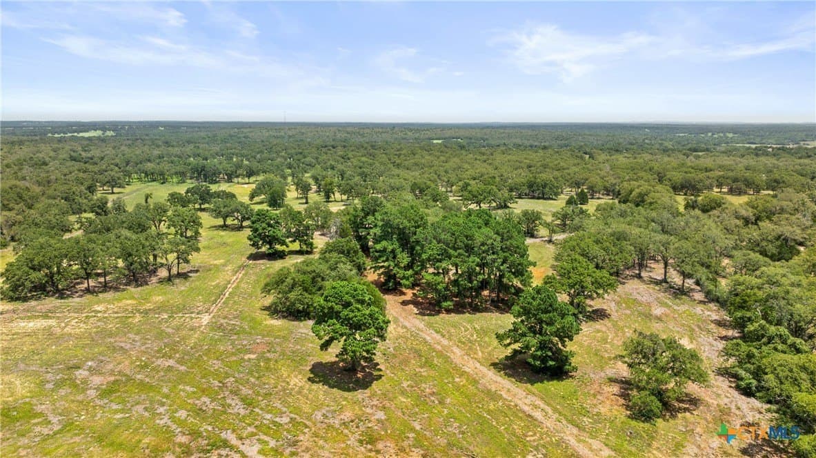 144.15 acres in Bastrop County - photo 4