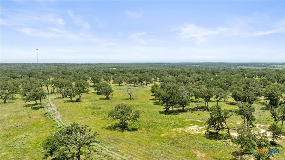 144.15 acres in Bastrop County - photo 9