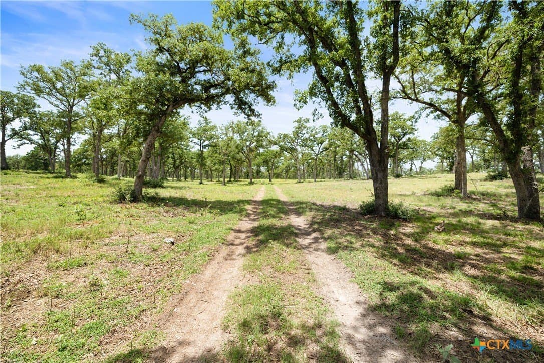 144.15 acres in Bastrop County - photo 41