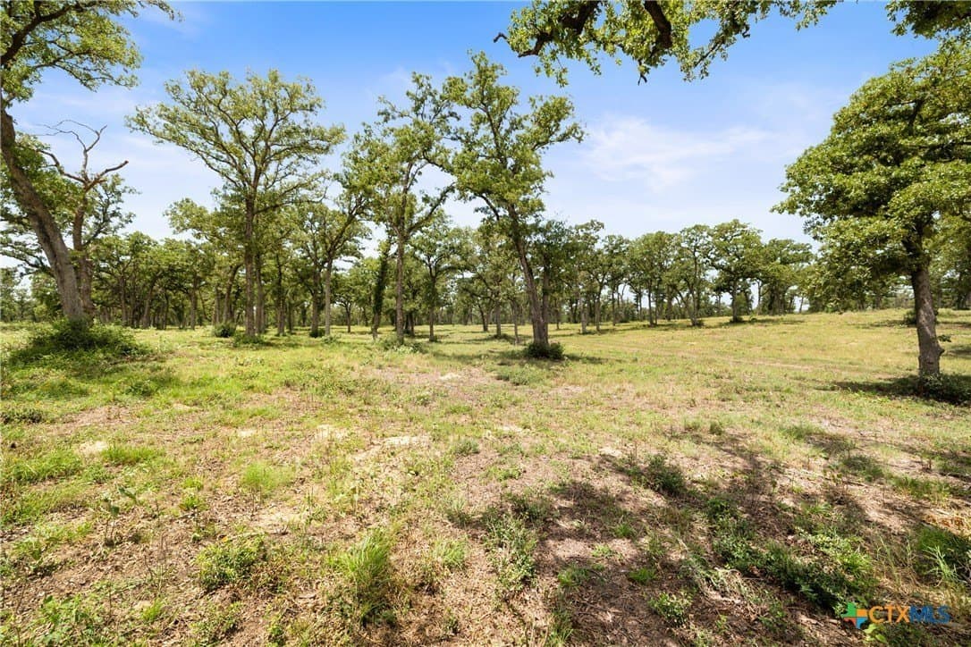 144.15 acres in Bastrop County - photo 43
