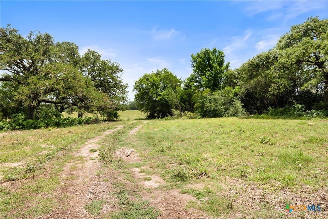 144.15 acres in Bastrop County - photo 42