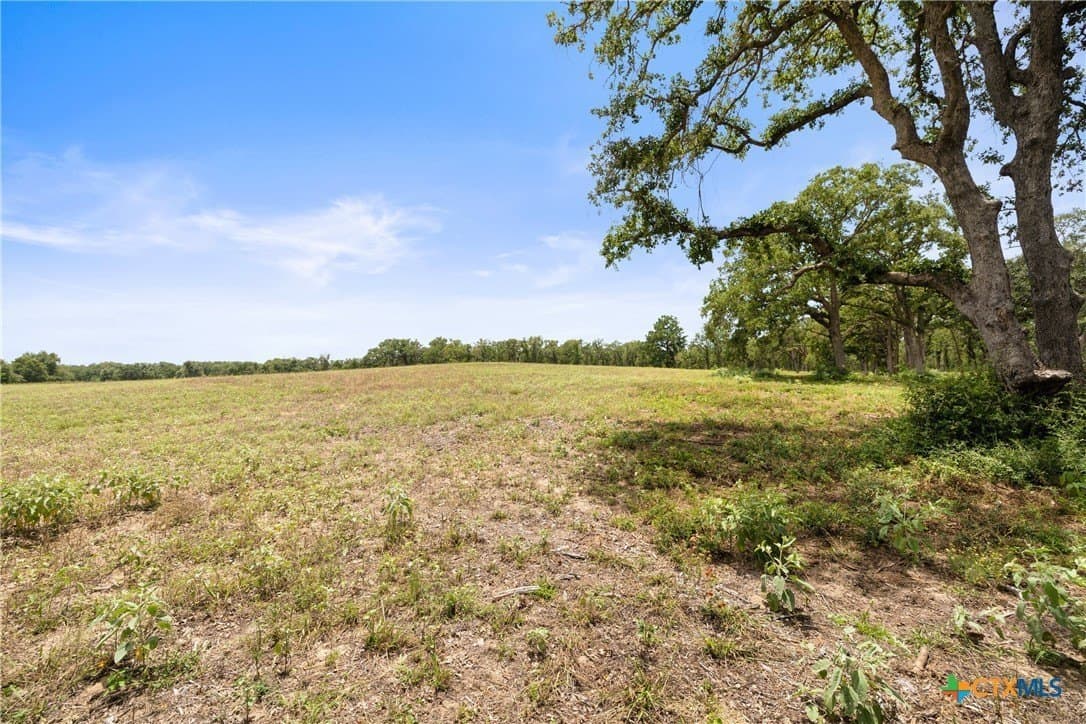 144.15 acres in Bastrop County - photo 44
