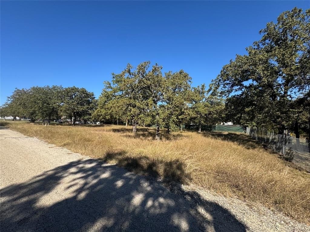 0.24 acres in Hood County - photo 3