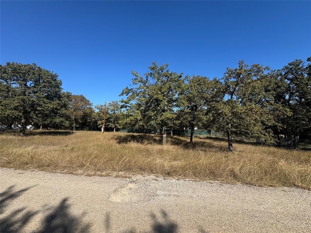 0.24 acres in Hood County - photo 2