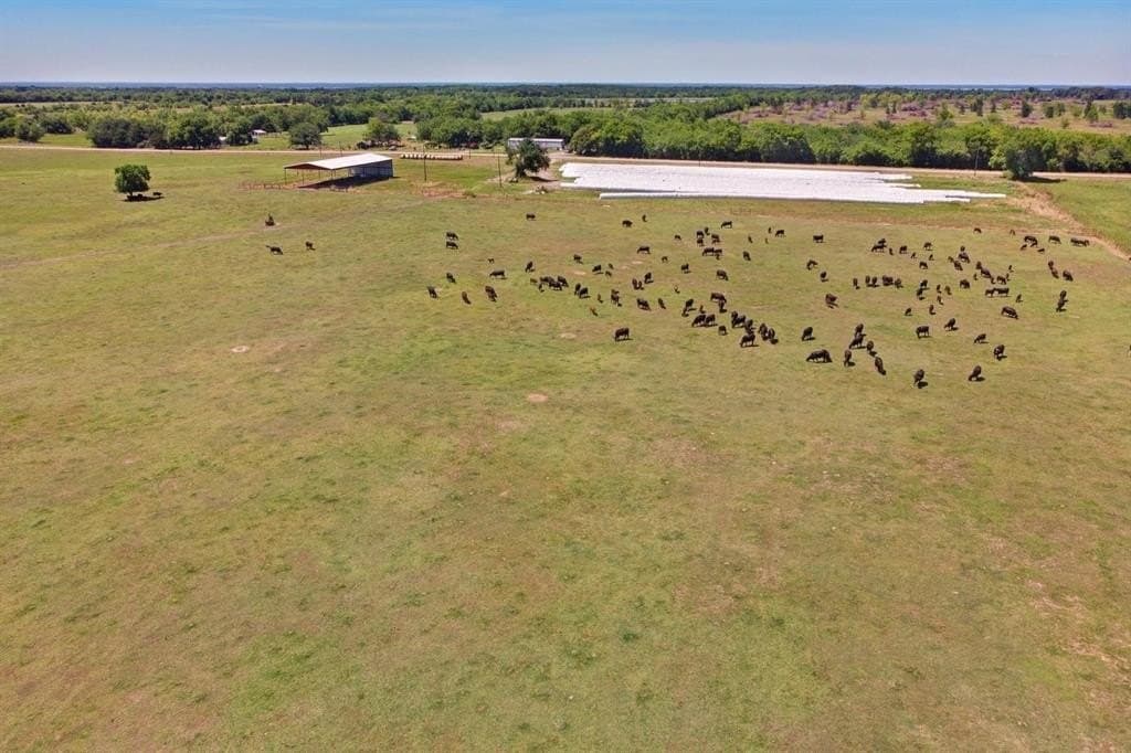 100 acres in Hopkins County - photo 6