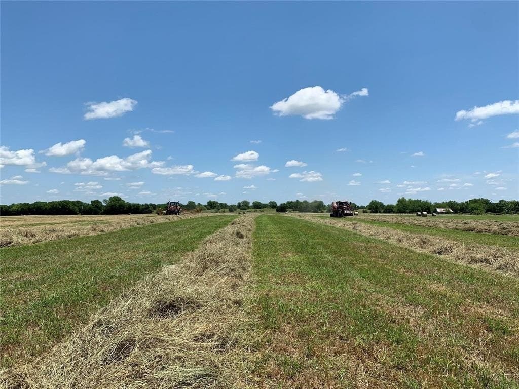 100 acres in Hopkins County - photo 26