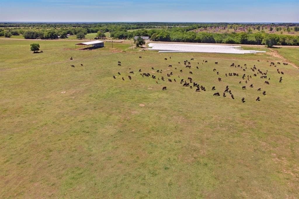 100 acres in Hopkins County - photo 15