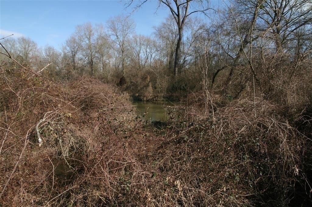 17.14 acres in Van Zandt County - photo 3