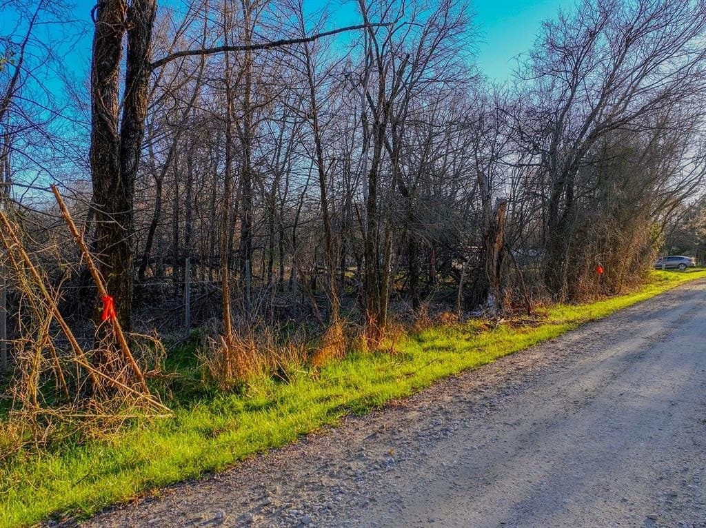 0.34 acres in Navarro County - photo 6