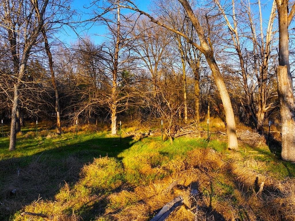 0.34 acres in Navarro County - photo 9
