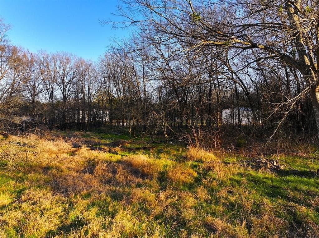 0.34 acres in Navarro County - photo 13