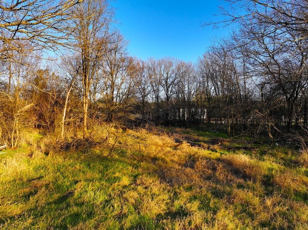 0.34 acres in Navarro County - photo 8