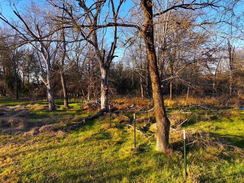 0.34 acres in Navarro County - photo 10