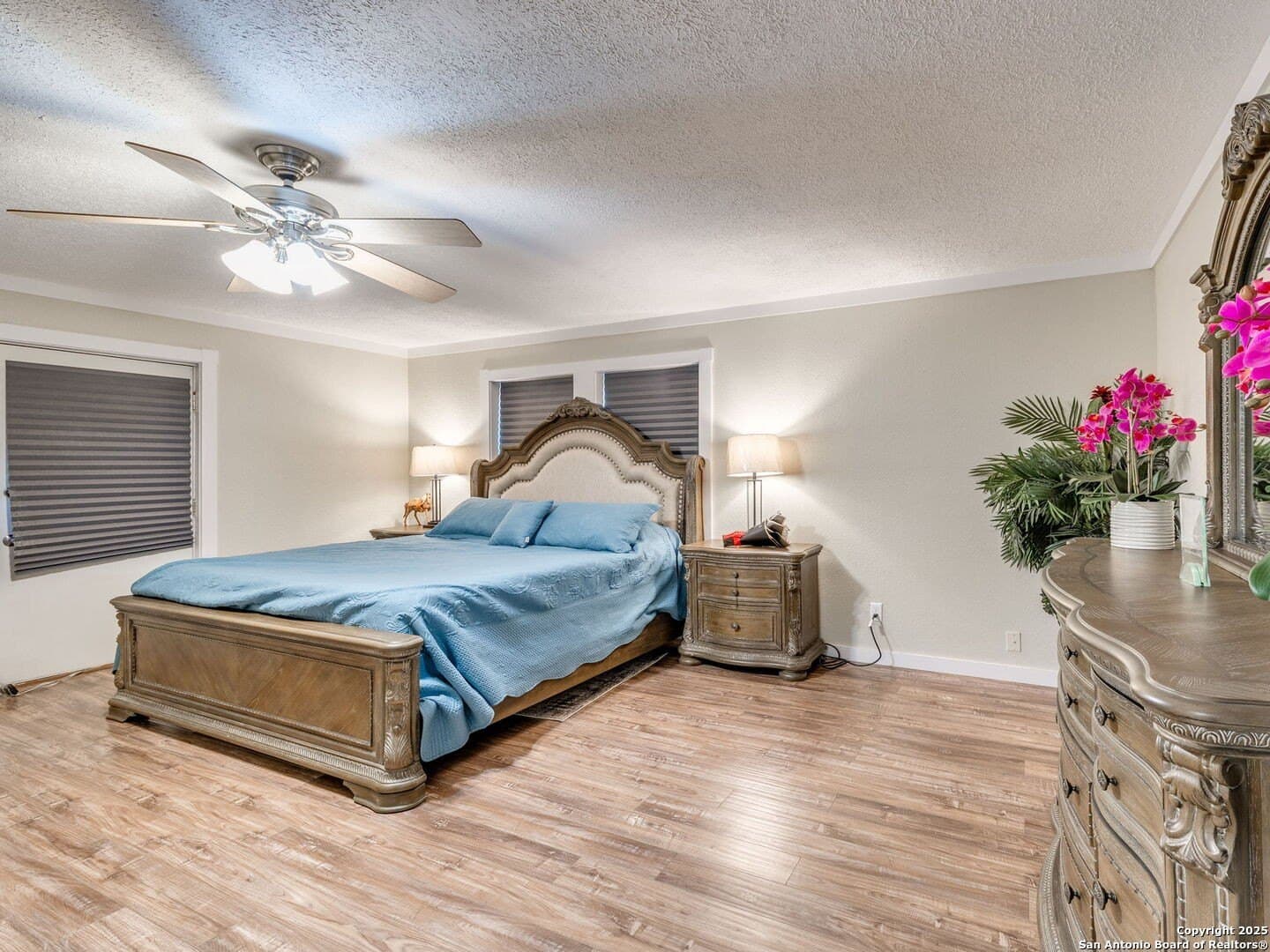 20.07 acres in Bexar County - photo 28
