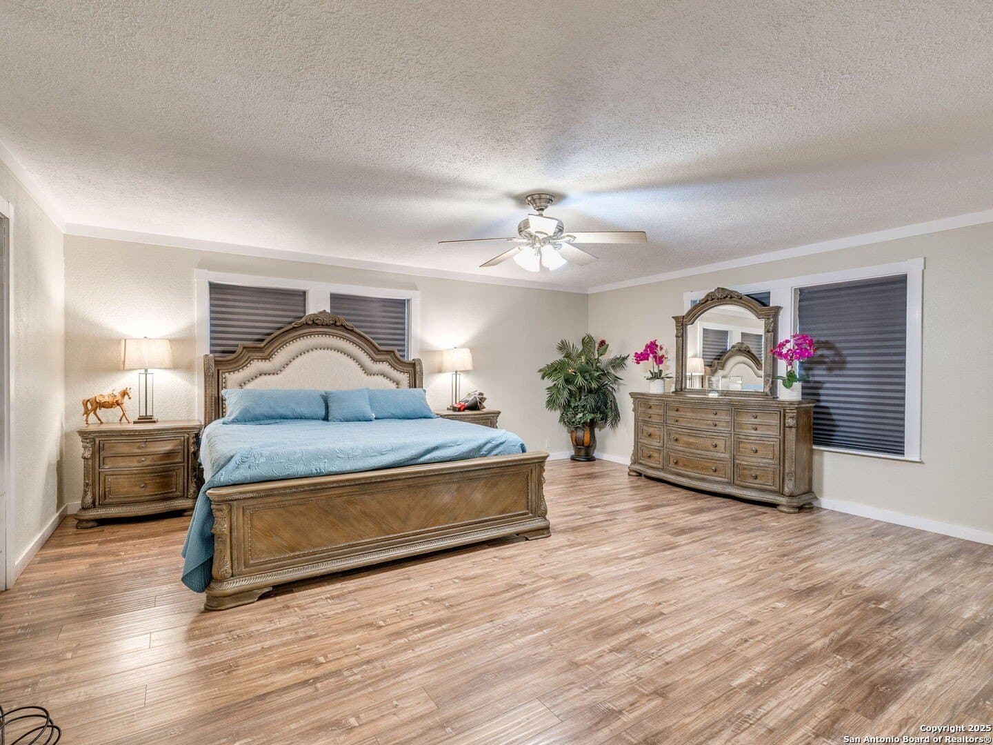 20.07 acres in Bexar County - photo 29