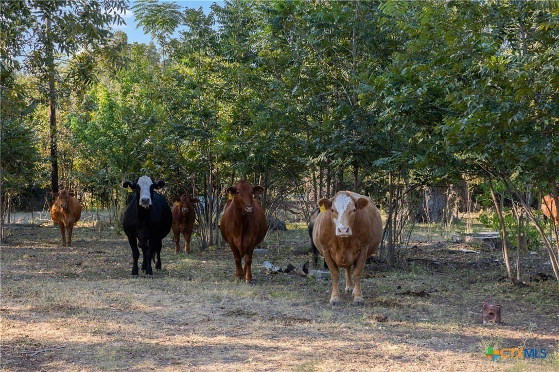 14.5 acres in Caldwell County - photo 4