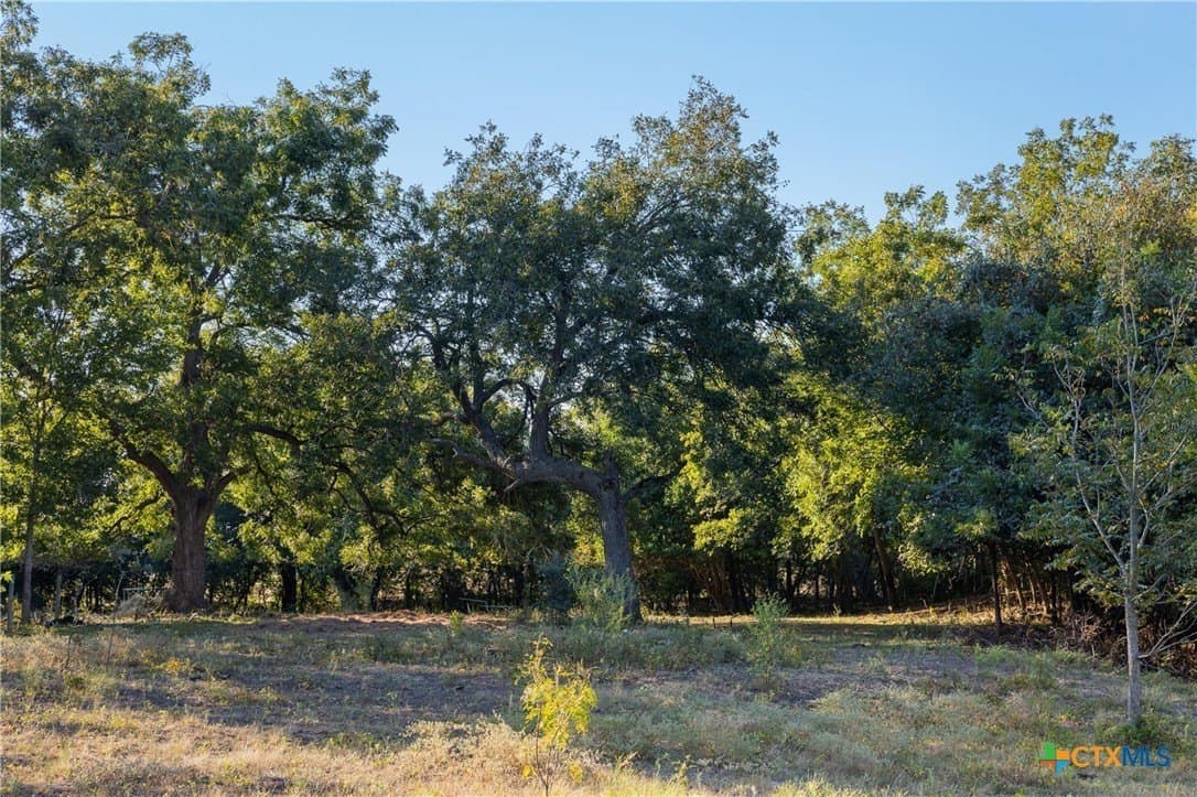 14.5 acres in Caldwell County - photo 2
