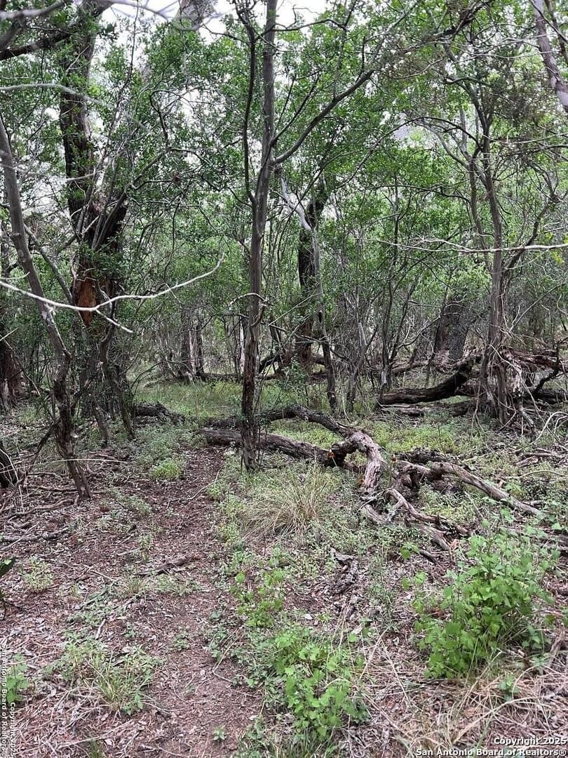 5.28 acres in Bandera County - photo 14