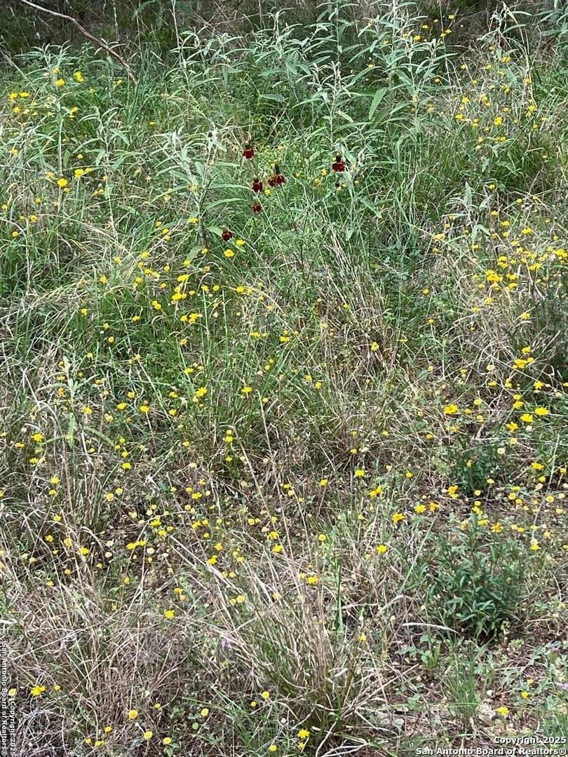5.28 acres in Bandera County - photo 18