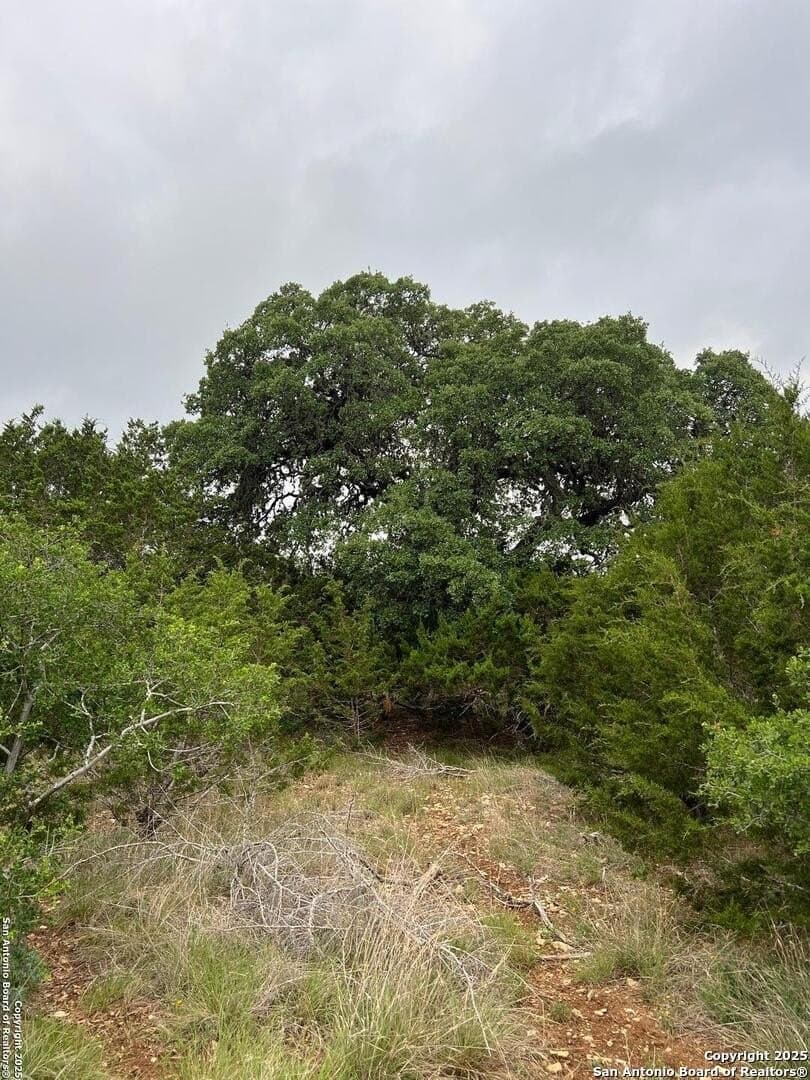 5.28 acres in Bandera County - photo 2