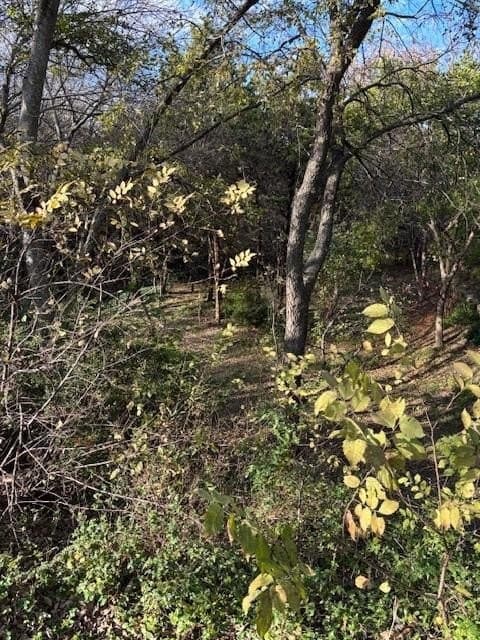0.28 acres in Dallas County - photo 5