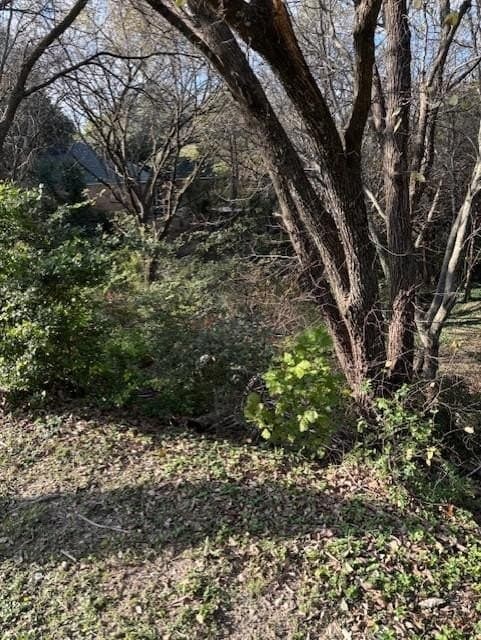 0.28 acres in Dallas County - photo 3